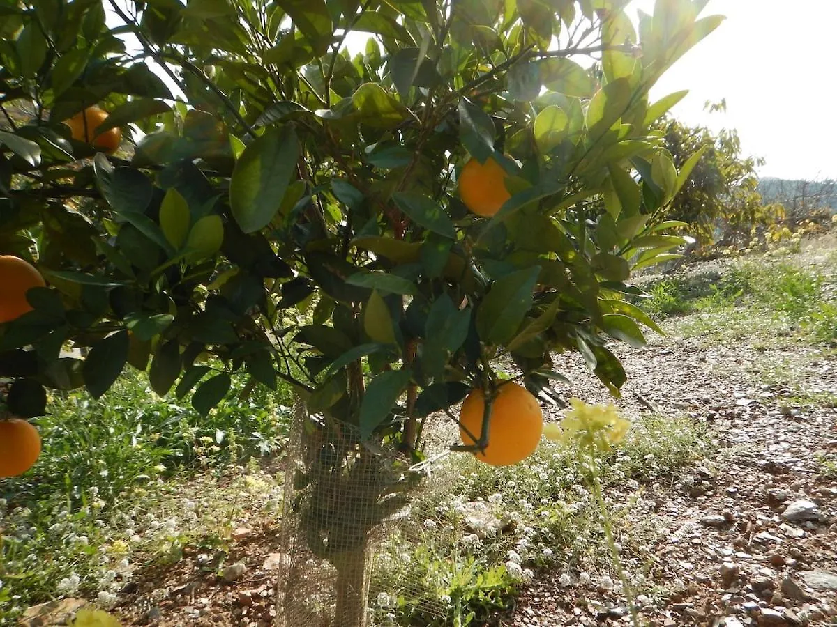 Finca La Sonrisa - Lovely House With Pool And Sea View ベナハラフェ 別荘